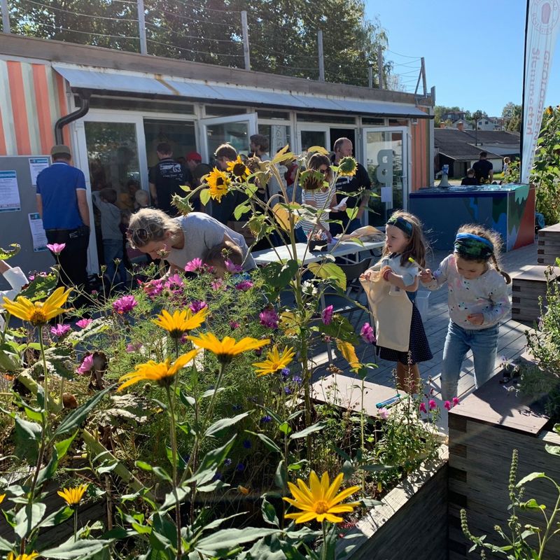 Trilobox Project 2016