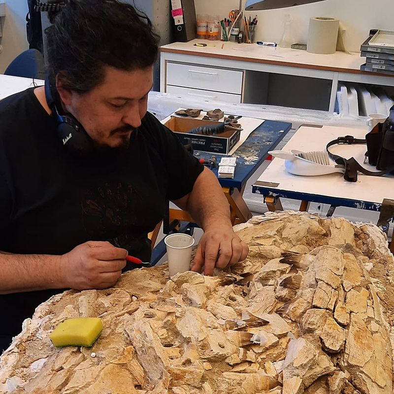 Conservation & Exhibit Preparation – Natural History Museum, Oslo