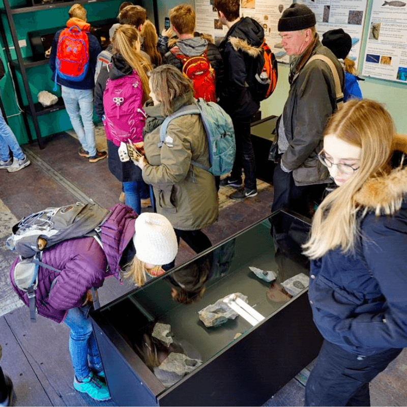 Trilobox Project 2016