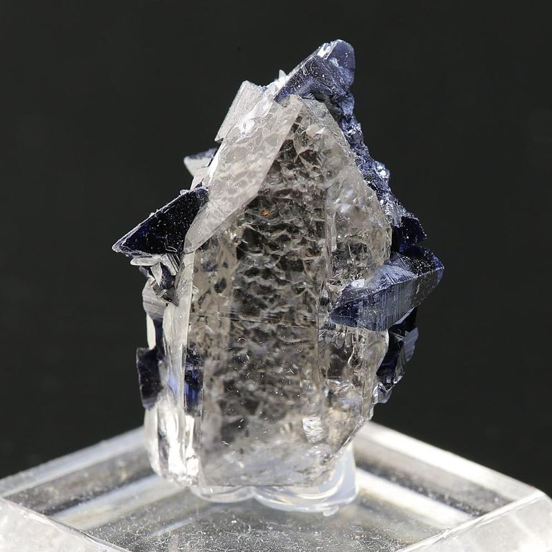 Anatase on Quartz from Hardangervidda, Norway