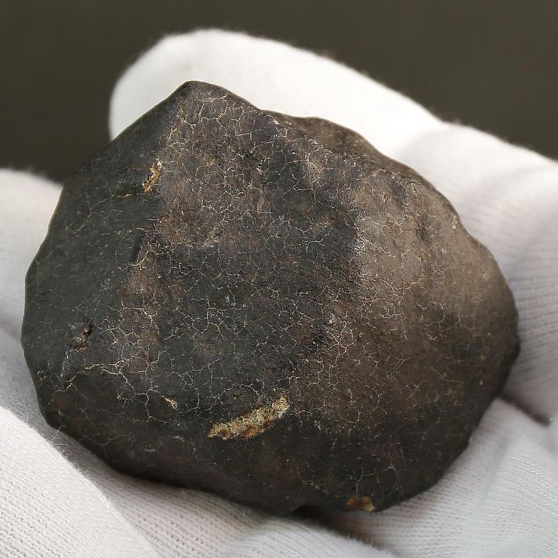 Hammadah al Hamra 346 (HaH 346) – Fresh Ordinary Chondrite (L6) Meteorite from Libya 87gr