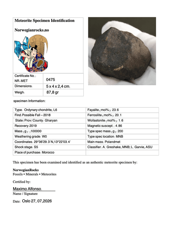 Hammadah al Hamra 346 (HaH 346) – Fresh Ordinary Chondrite (L6) Meteorite from Libya 87gr